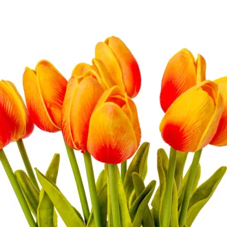 Tulipán köteg gumi 10szál M33cm 12db/#
