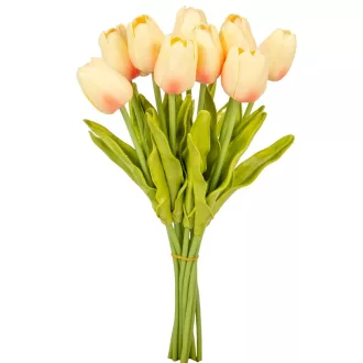 Tulipán köteg gumi 10szál M33cm 12db/#