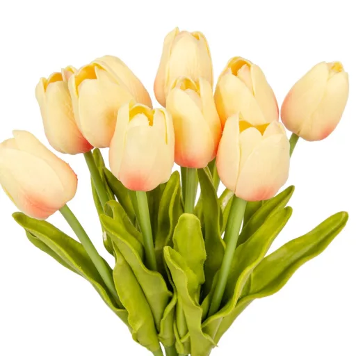 Tulipán köteg gumi 10szál M33cm 12db/#