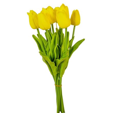 Tulipán köteg gumi 10szál M33cm 12db/#