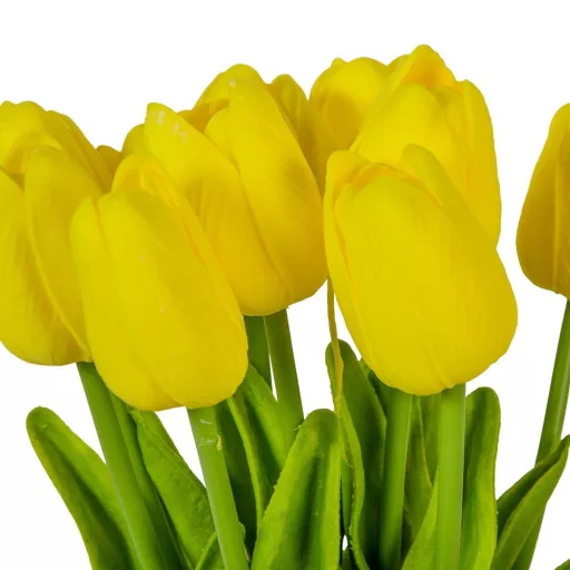 Tulipán köteg gumi 10szál M33cm 12db/#