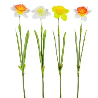 Nárcisz szálas M45cm mix 48db/#