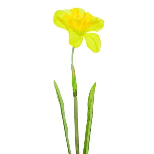 Nárcisz szálas M45cm mix 48db/#