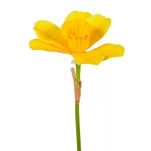Nárcisz szálas gumi M40cm 48db/#