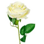 Bársonyrózsa szálas M51cm 72db/#