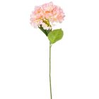 Hortenzia szálas M58cm 24db/#