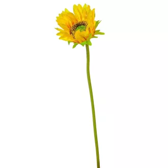 Napraforgó szálas M50cm 72db/#