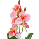 Orchidea levéllel gumi mix M32cm 36db/#