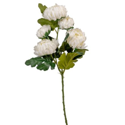 Krizantém ág 5v. krém M55cm 12db/#