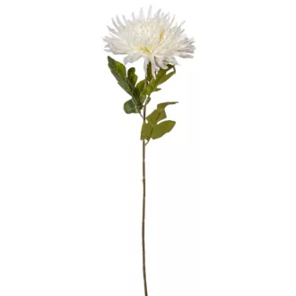 Krizantém szálas krém M70cm 24db/#