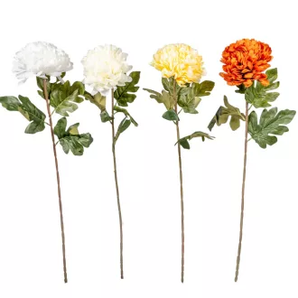 Krizantém szálas mix M76cm 24db/#