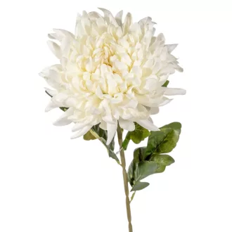 Krizantém szálas mix M74cm 24db/#