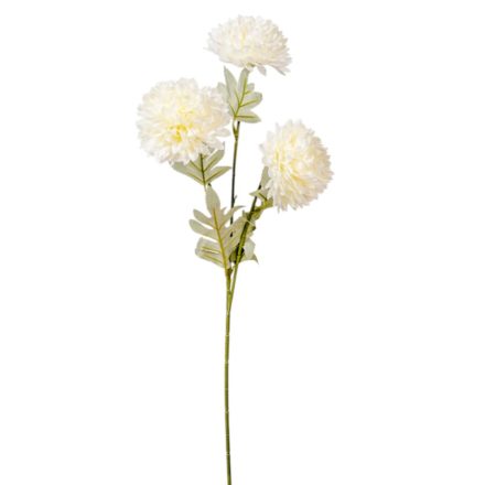 Krizantém ág 3v. krém M63cm 24db/#