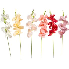 Kardvirág szálas őszi mix M55cm 12db/köteg 288db/#