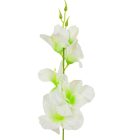 Kardvirág szálas mix M55cm 12db/köteg 288db/#