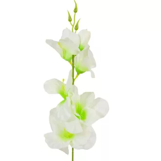 Kardvirág szálas mix M55cm 12db/köteg 288db/#