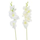 Kardvirág szálas fehér,krém M55cm 12db/köteg 288db/#