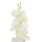 Kardvirág szálas fehér,krém M55cm 12db/köteg 288db/#