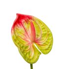 Flamingó szálas gumi zöld M40cm 60db/#