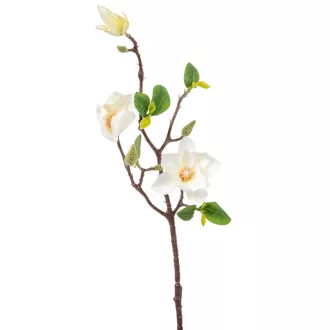 Magnólia ág gumi 3v. krém M48cm 24db/#