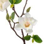 Magnólia ág gumi 3v. krém M48cm 24db/#