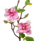 Magnólia ág gumi 3v. M48cm 24db/#