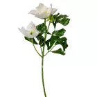 Hunyor ág 2v. M34cm 96db/#