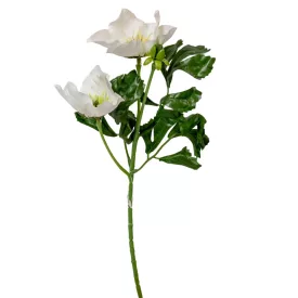 Hunyor ág 2v. M34cm 96db/#