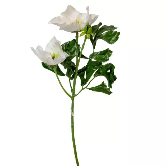Hunyor ág 2v. M34cm 96db/#