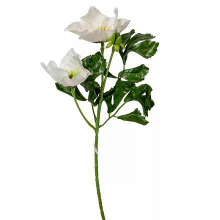 Hunyor ág 2v. M34cm 96db/#