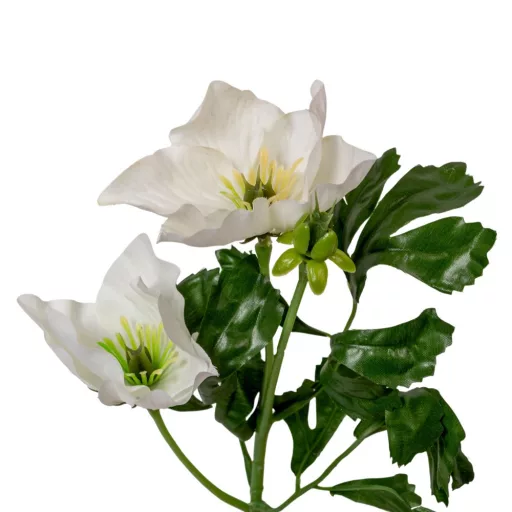 Hunyor ág 2v. M34cm 96db/#