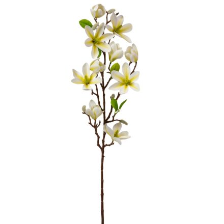 Magnólia ág gumi krém M80cm 12db/#