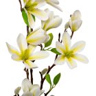 Magnólia ág gumi krém M80cm 12db/#