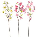 Magnólia ág gumi mix M80cm 12db/#