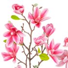 Magnólia ág gumi mix M80cm 12db/#