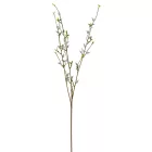 Barka ág M82cm 48db/#