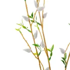 Barka ág M82cm 48db/#