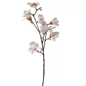 Magnólia ág gumi 7v. krém M100cm 12db/#