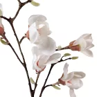 Magnólia ág gumi 7v. krém M100cm 12db/#