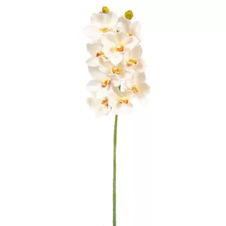 Orchidea ág gumi M70cm 16db/#