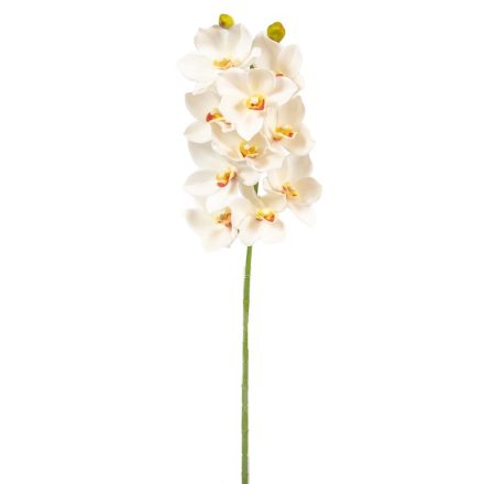 Orchidea ág gumi M70cm 16db/#