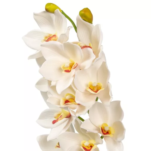 Orchidea ág gumi M70cm 16db/#