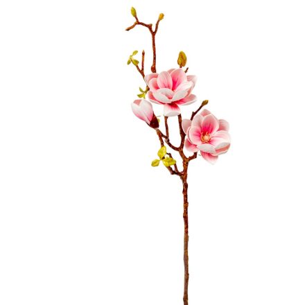 Magnólia ág polifoam 3v. M78cm 24db/#