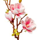 Magnólia ág polifoam 3v. M78cm 24db/#