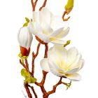 Magnólia ág polifoam 3v. M78cm 24db/#