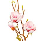 Magnólia ág polifoam 3v. M78cm 24db/#