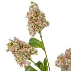 Orgona ág 3v. mix M65cm 24db/#