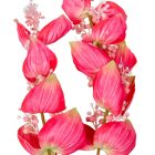 Medillina ág 2v. mix 110cm 24db/#