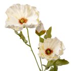 Pipacs ág 3v. gumi M67cm 30db/#