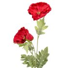 Pipacs ág 3v. gumi M67cm 30db/#